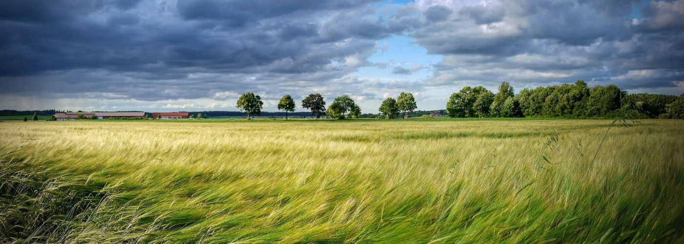 Wind, een teken van de Geest