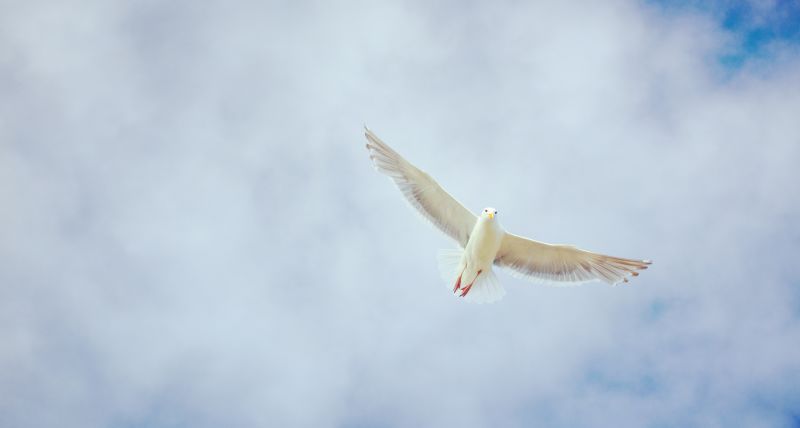 Pinksteren, de Heilige Geest beneden