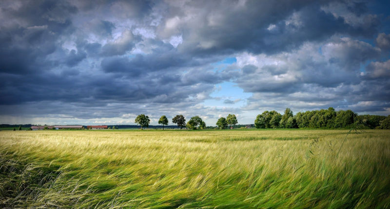 Wind, een teken van de Geest