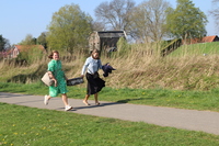 img46