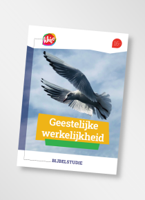 Bijbelstudieboekje Geestelijke werkelijkheid 16-